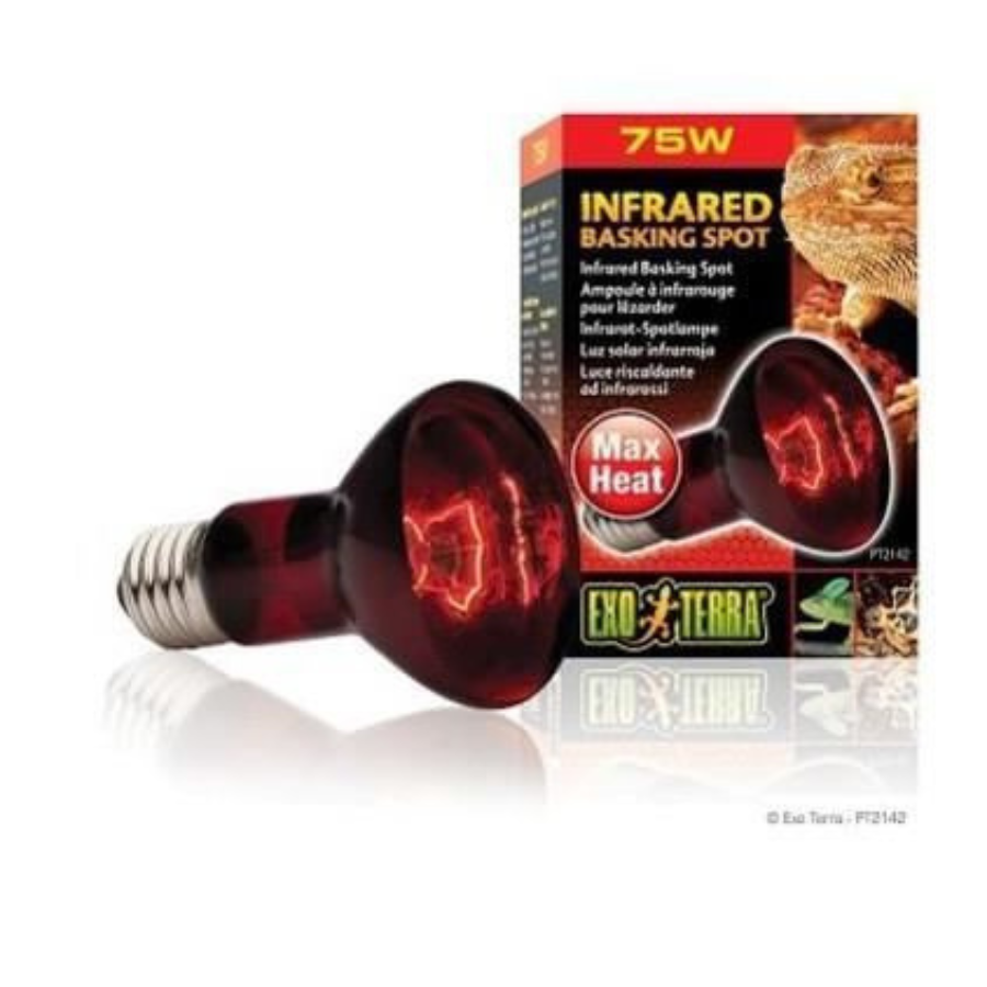 Exoterra Bombilla para reptiles Infrared Basking Spot, , large Imagen numero 1